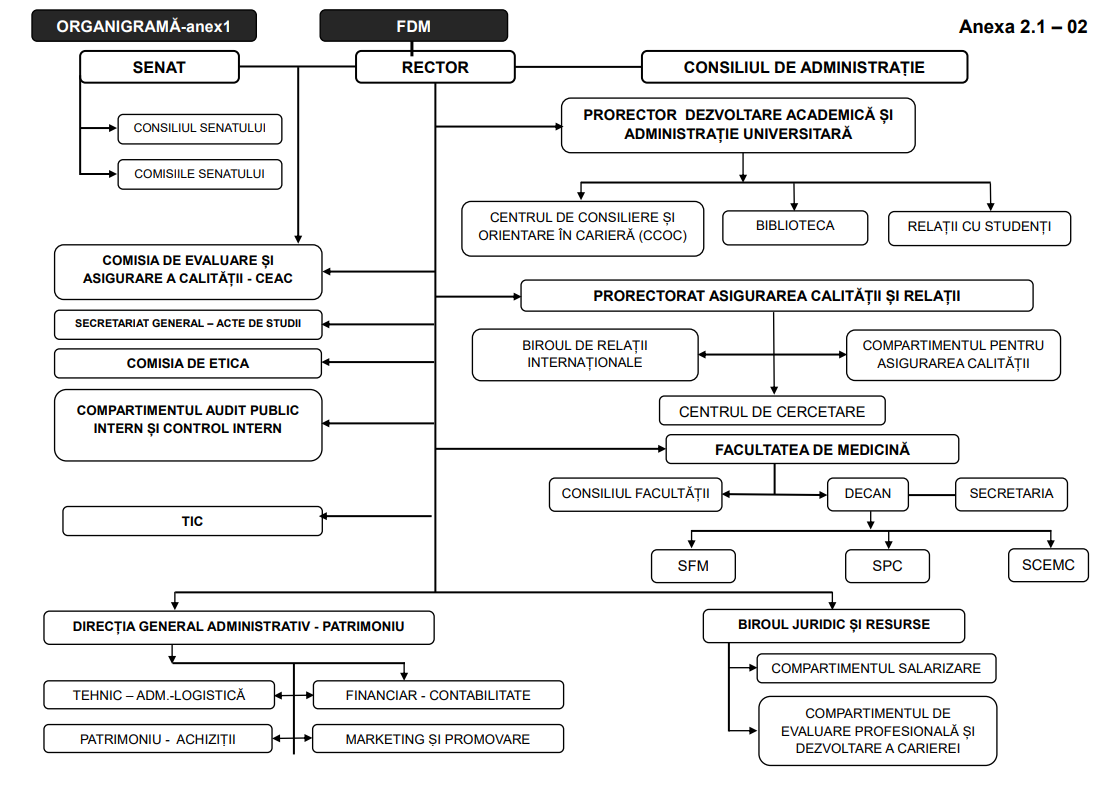 Faculty Organizational Chart
